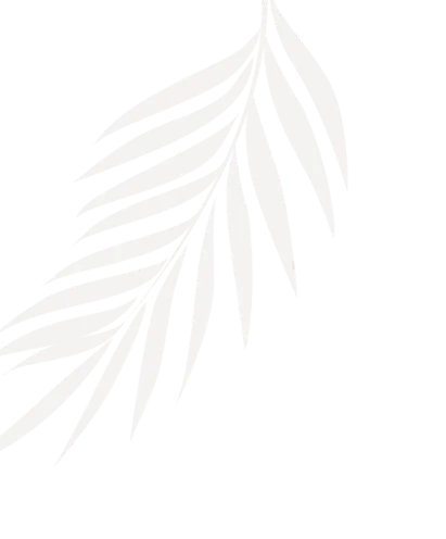 球友会